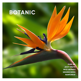 botanic.jpg